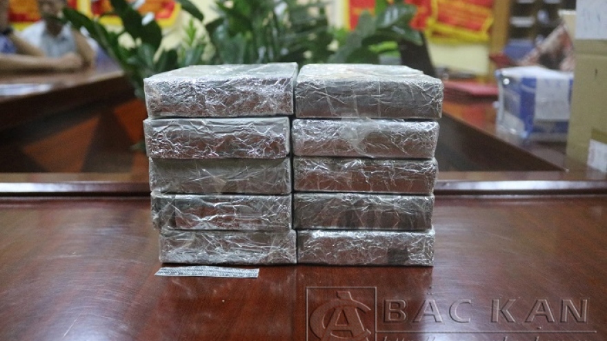 Phá đường dây mang ma túy từ Nghệ An ra Bắc tiêu thụ